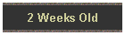 2 Weeks Old