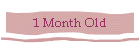 1 Month Old