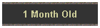 1 Month Old