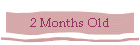 2 Months Old