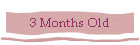3 Months Old