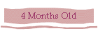 4 Months Old