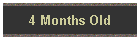 4 Months Old