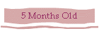 5 Months Old