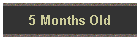 5 Months Old