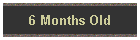 6 Months Old