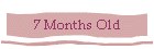 7 Months Old