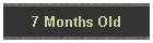 7 Months Old
