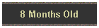 8 Months Old