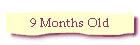 9 Months Old