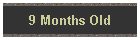 9 Months Old