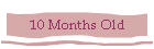 10 Months Old