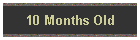 10 Months Old