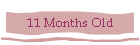 11 Months Old