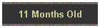 11 Months Old