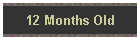 12 Months Old