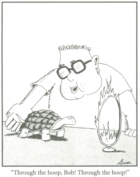 Far Side &ndash; Through the Hoop, Bob!