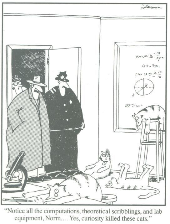 curiosity killed these cats