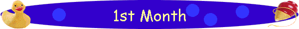 1st Month