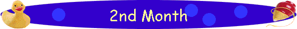 2nd Month