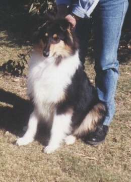 5 MONTHS OLD - JUST OUT OF QUARANTINE