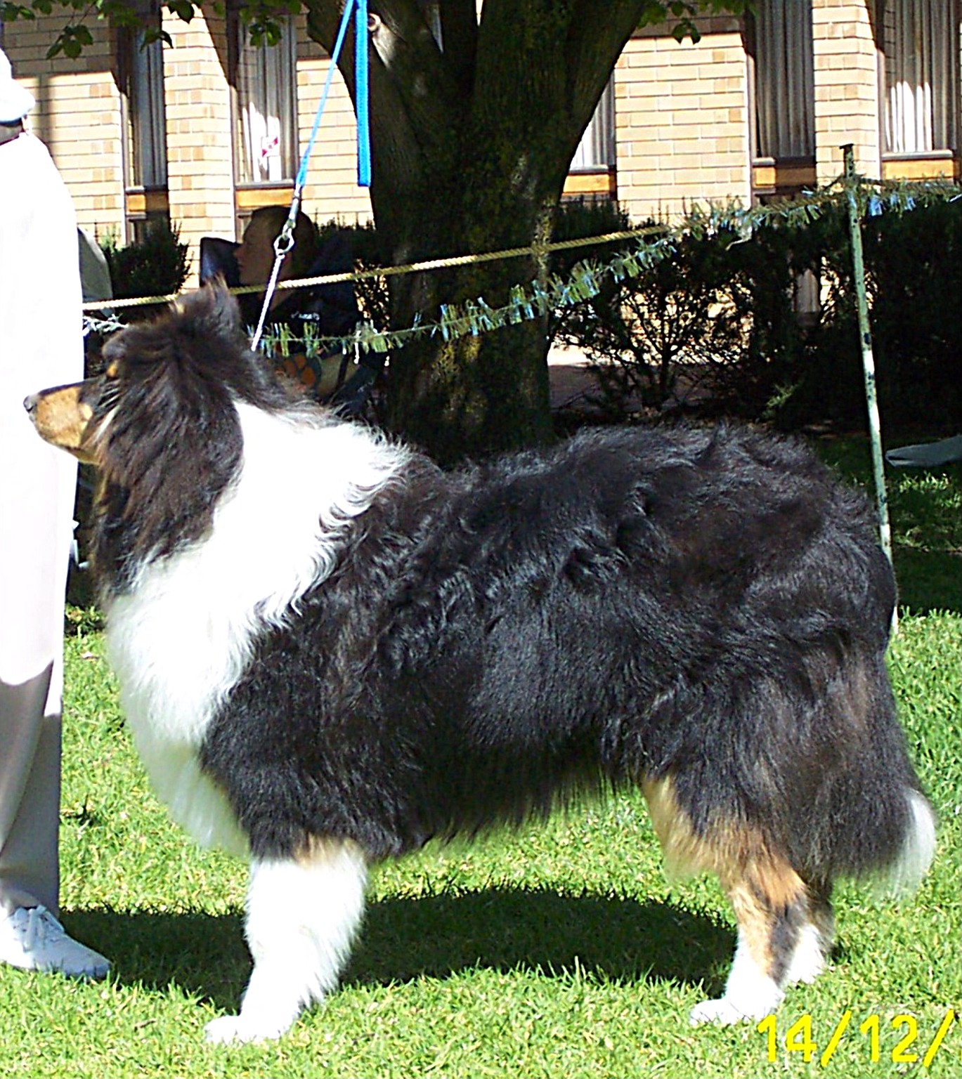 Joshwyn One More Nite - 8 months old