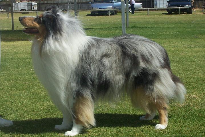 19 months old 