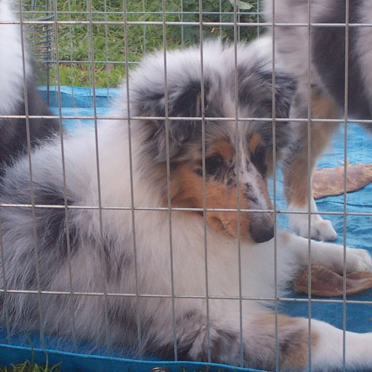3 months old