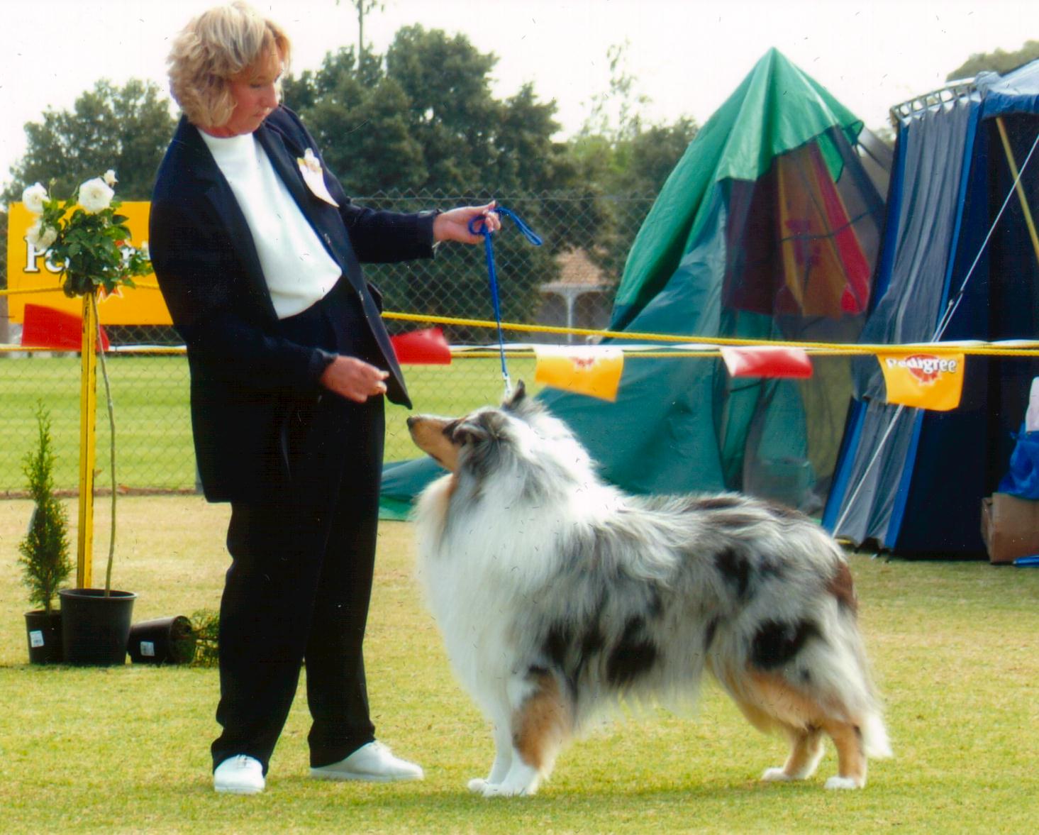 In his Junior Class at the National 2003