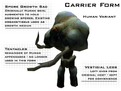 Flood Carrier Form