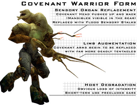 Flood Covenant Combat Form