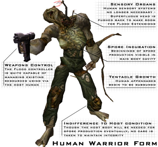 Flood Human Combat Form