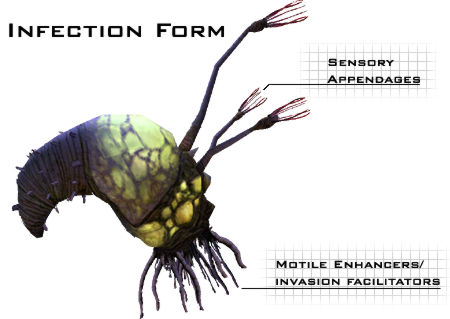 Flood Infection Form
