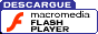 Descarga Flash Player.