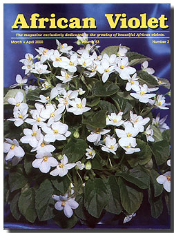 Grand Prize African Violets