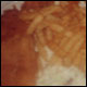 Fish & Chips