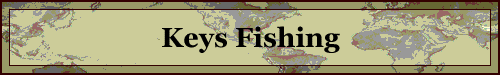 Keys Fishing