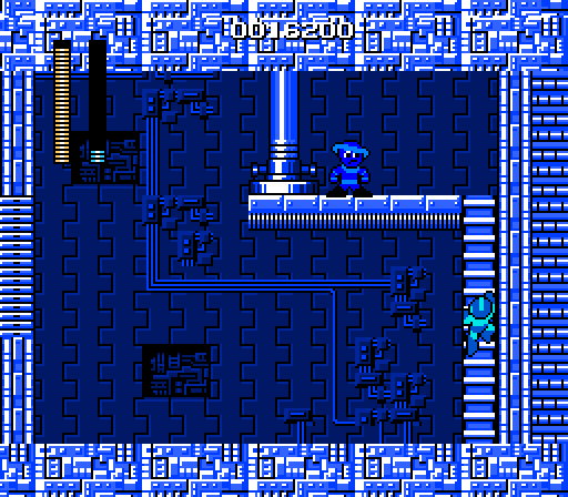megaman picture 10