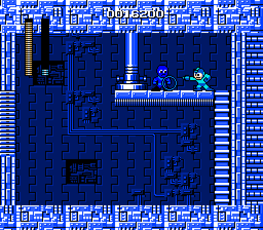 megaman picture 11