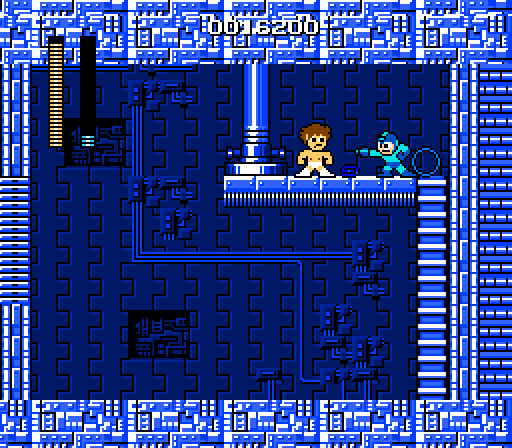 megaman picture 12