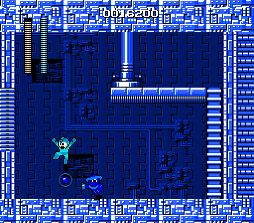 megaman picture 5