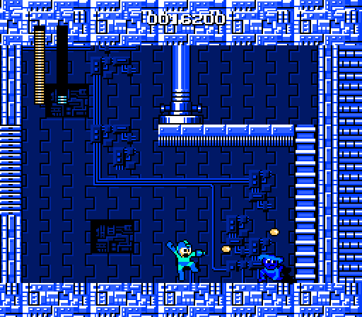 megaman picture 7