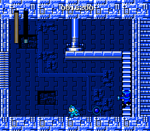 megaman picture 8