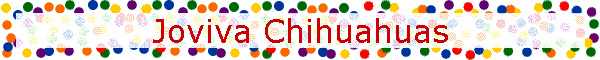 Joviva Chihuahuas