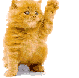 Bye