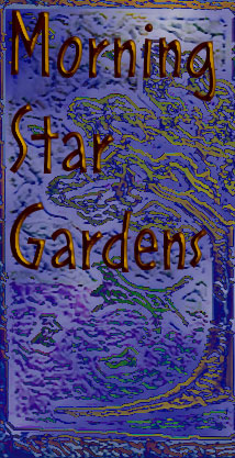 Morning Star Gardens