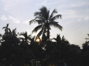 sunset_1024-768