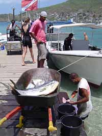 Dive Bequia dock and boat