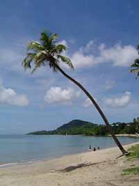 Choc Beach