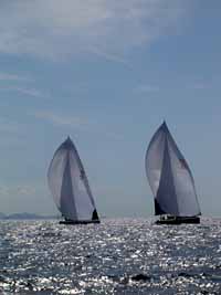 Heineken Regatta ships